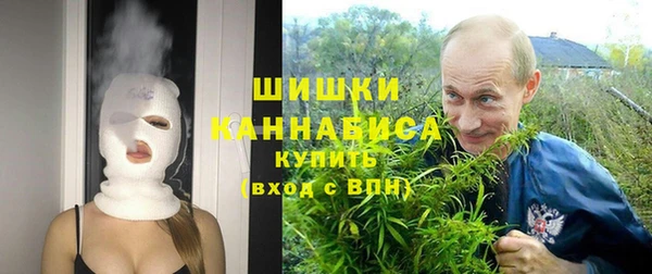 шишки Абинск